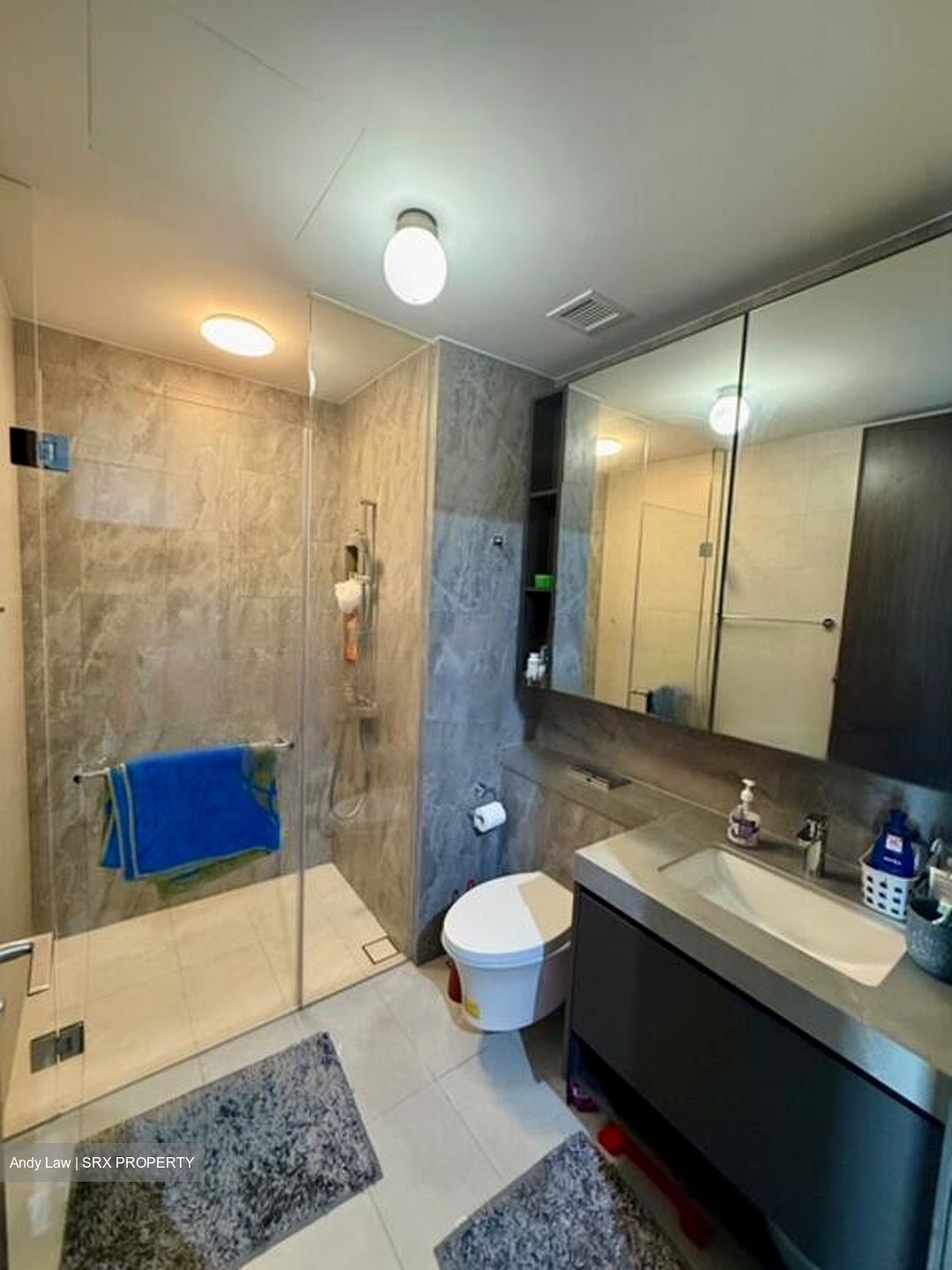 Parc Clematis (D5), Apartment #456091011